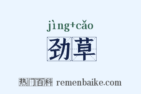 劲草是什么意思的图片